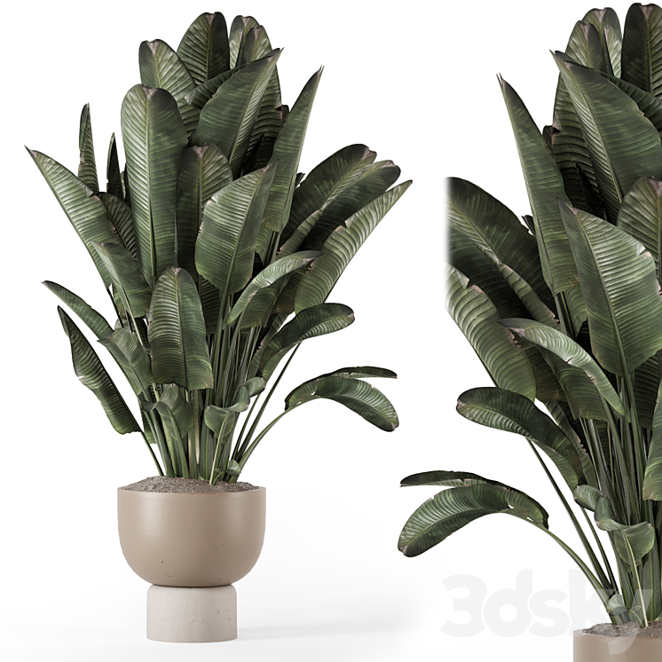 Indoor Plants in Ferm Living Bau Pot Large – Set 1507 3DS Max Model - thumbnail 1