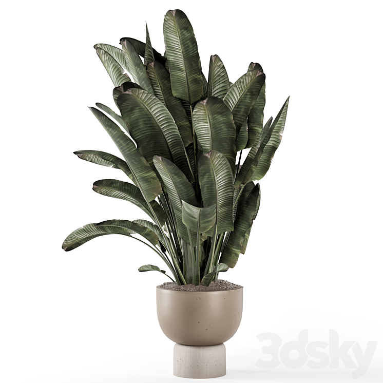 Indoor Plants in Ferm Living Bau Pot Large – Set 1507 3DS Max Model - thumbnail 2