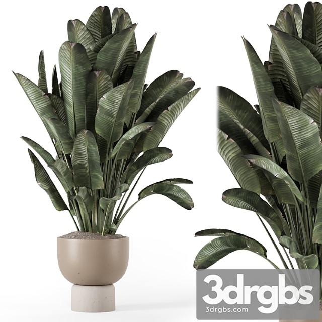 Indoor plants in ferm living bau pot large – set 1507 - thumbnail 1