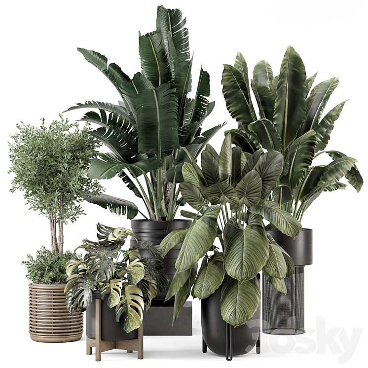 Indoor Plants in Ferm Living Bau Pot Large – Set 1665 3DS Max Model - thumbnail 1