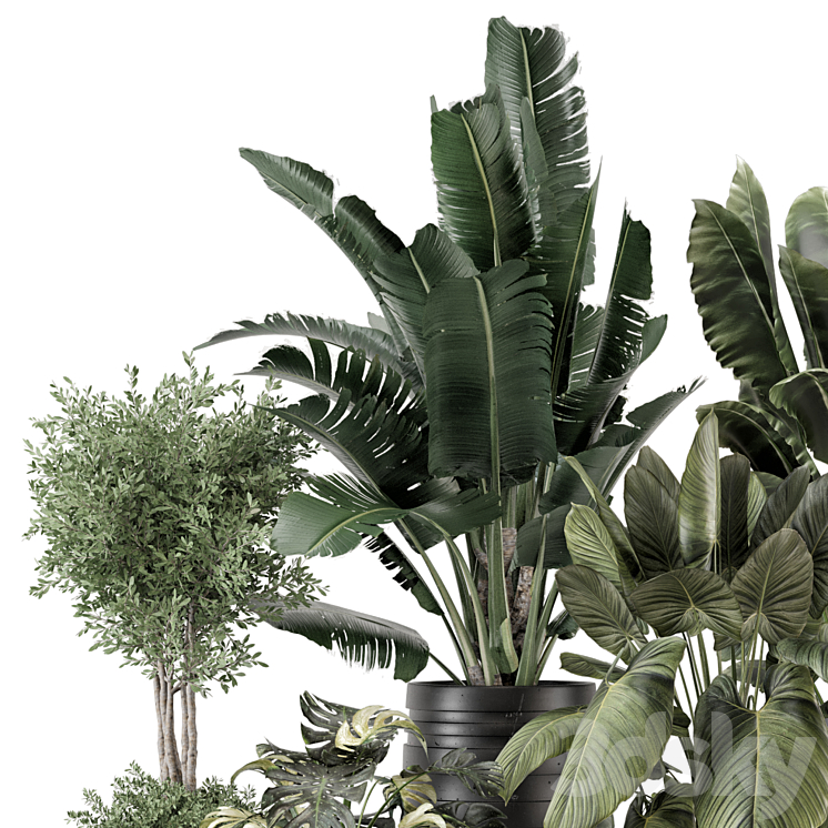 Indoor Plants in Ferm Living Bau Pot Large – Set 1665 3DS Max Model - thumbnail 2