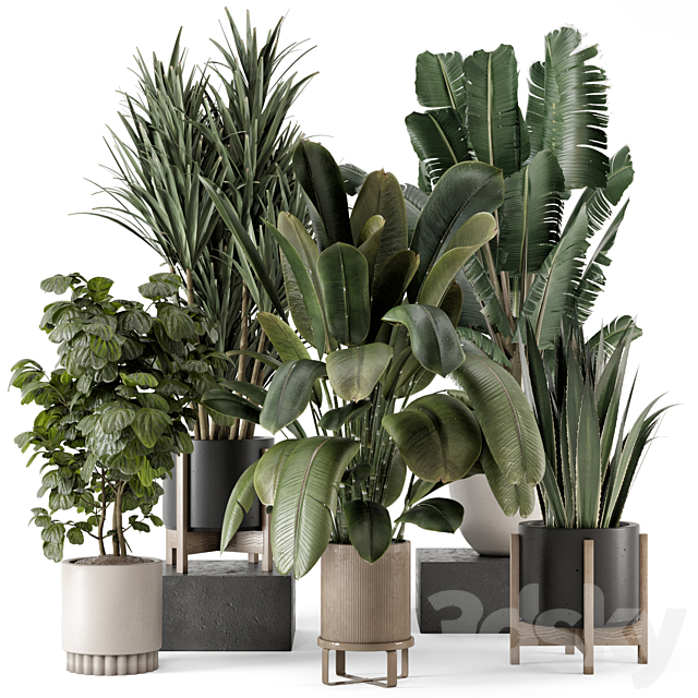 Indoor Plants in Ferm Living Bau Pot Large – Set 1782 3ds Max - thumbnail 1