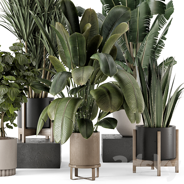 Indoor Plants in Ferm Living Bau Pot Large – Set 1782 3ds Max - thumbnail 2