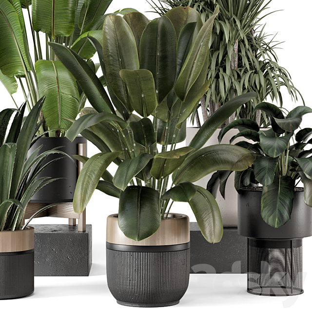 Indoor Plants in Ferm Living Bau Pot Large – Set 1947 3DS Max Model - thumbnail 2