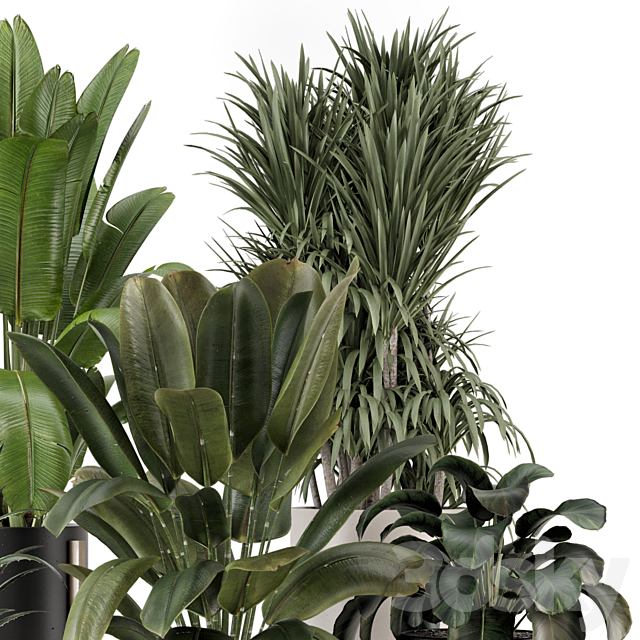 Indoor Plants in Ferm Living Bau Pot Large – Set 1947 3DS Max Model - thumbnail 3