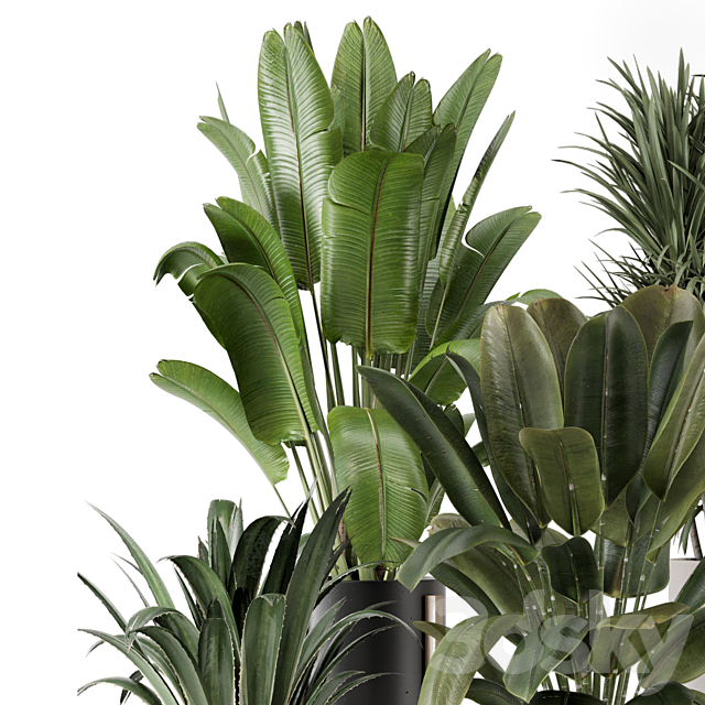 Indoor Plants in Ferm Living Bau Pot Large – Set 1947 3DS Max Model - thumbnail 4