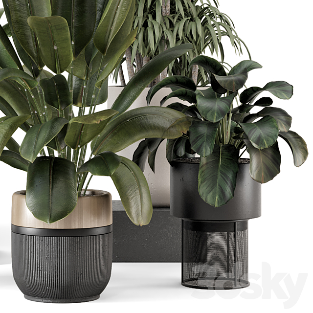 Indoor Plants in Ferm Living Bau Pot Large – Set 1947 3DS Max Model - thumbnail 6