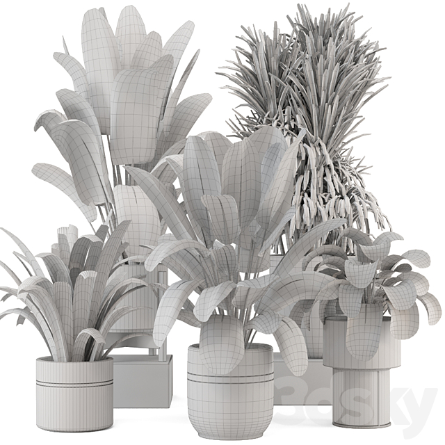 Indoor Plants in Ferm Living Bau Pot Large – Set 1947 3DS Max Model - thumbnail 7