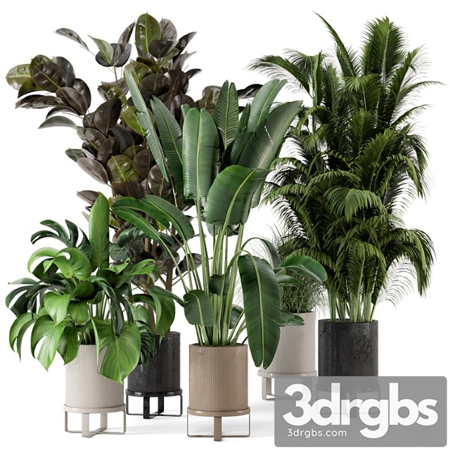 Indoor plants in ferm living bau pot large – set 206 - thumbnail 1