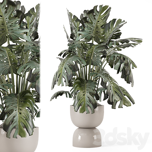 Indoor Plants in Ferm Living Bau Pot Large – Set 2160 3ds Max - thumbnail 1