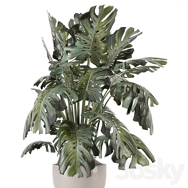 Indoor Plants in Ferm Living Bau Pot Large – Set 2160 3ds Max - thumbnail 3