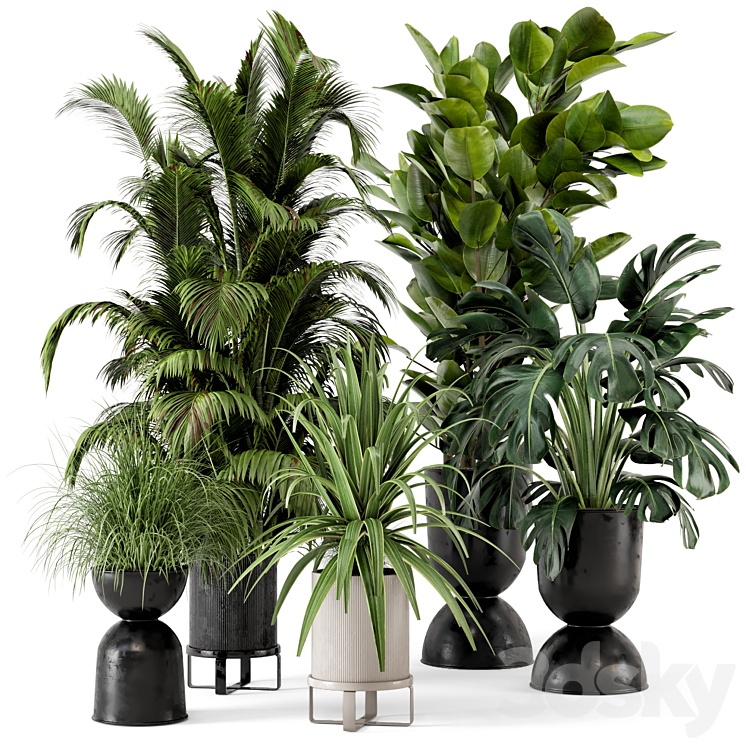 Indoor Plants in Ferm Living Bau Pot Large – Set 220 3DS Max - thumbnail 1