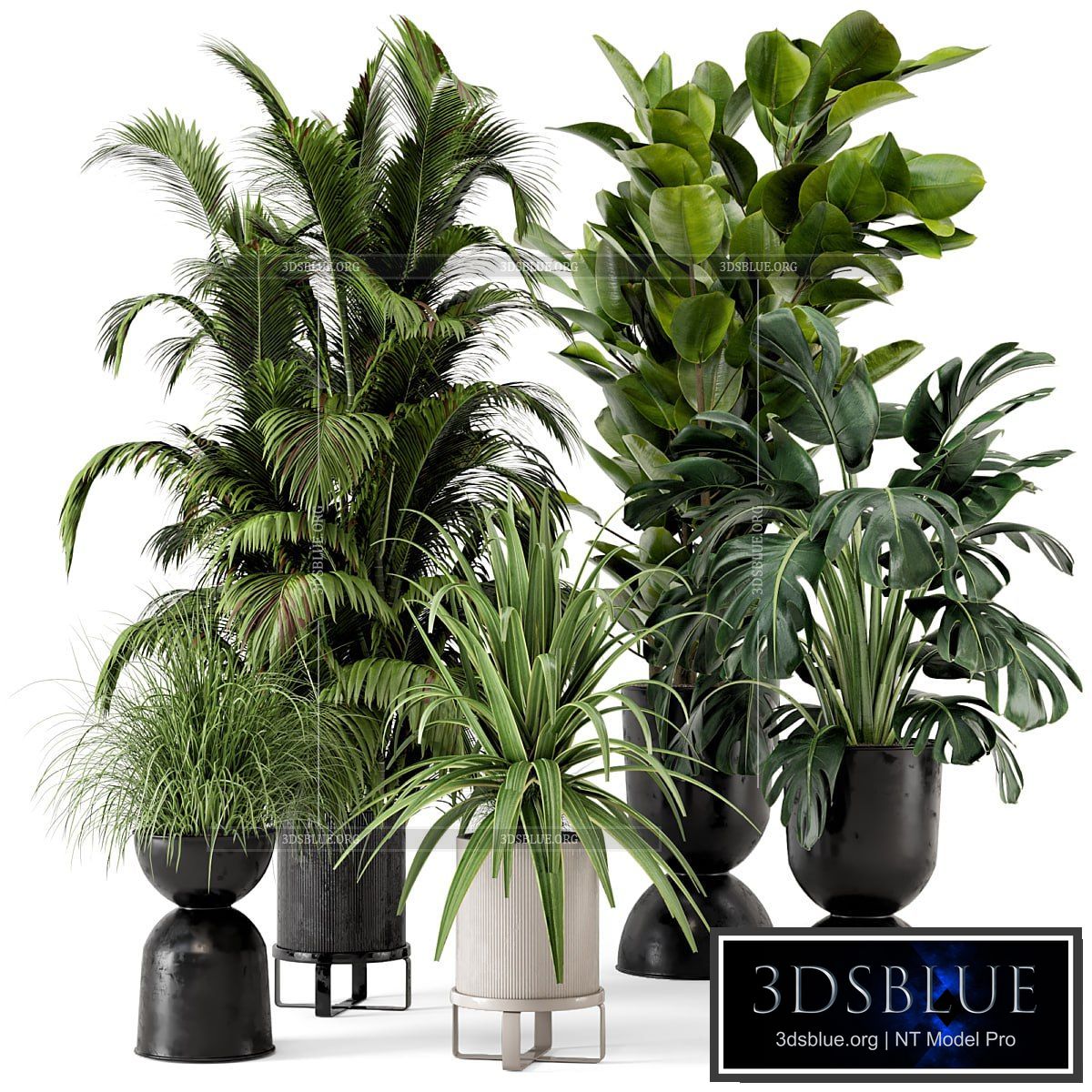 Indoor Plants in Ferm Living Bau Pot Large – Set 220 3DS Max - thumbnail 3