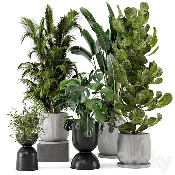Indoor Plants in Ferm Living Bau Pot Large – Set 230 3DS Max Model - thumbnail 3