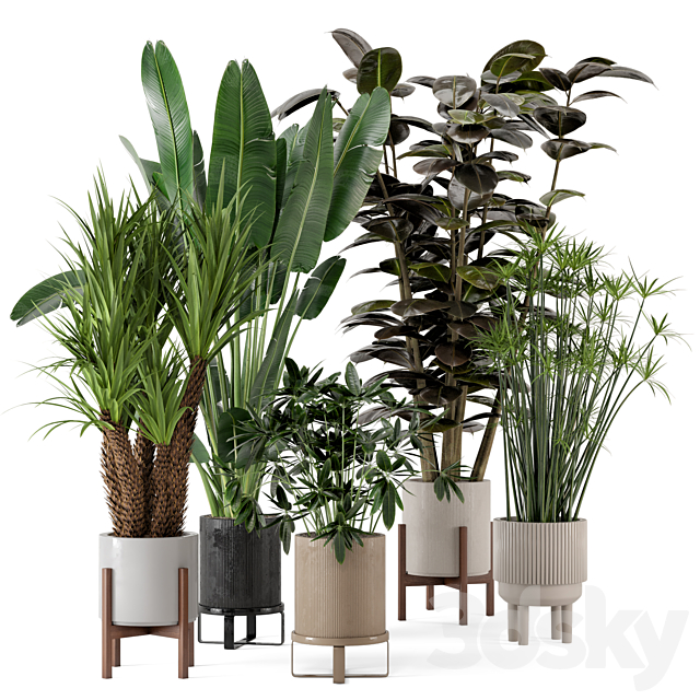 Indoor Plants in Ferm Living Bau Pot Large – Set 235 3ds Max - thumbnail 1