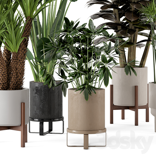 Indoor Plants in Ferm Living Bau Pot Large – Set 235 3ds Max - thumbnail 2