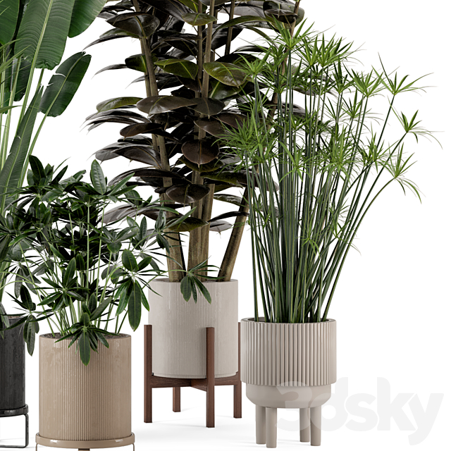 Indoor Plants in Ferm Living Bau Pot Large – Set 235 3ds Max - thumbnail 3