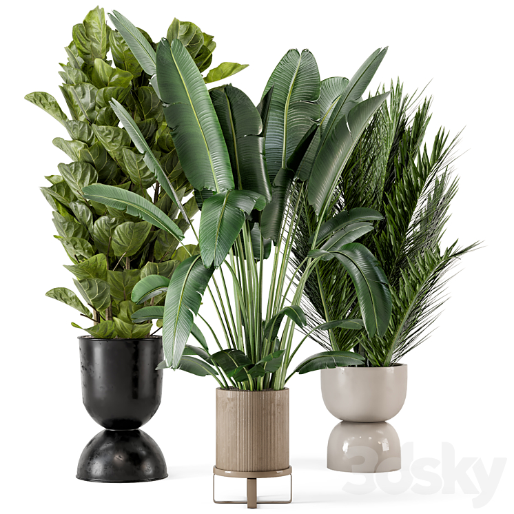 Indoor Plants in Ferm Living Bau Pot Large – Set 273 3DS Max Model - thumbnail 1