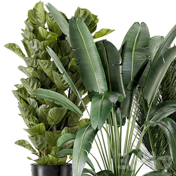 Indoor Plants in Ferm Living Bau Pot Large – Set 273 3DS Max Model - thumbnail 2