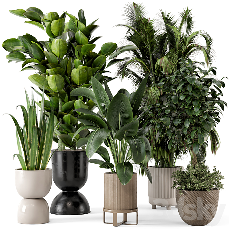 Indoor Plants in Ferm Living Bau Pot Large – Set 290 3DS Max Model - thumbnail 1