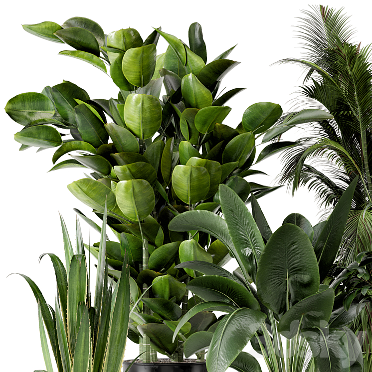 Indoor Plants in Ferm Living Bau Pot Large – Set 290 3DS Max Model - thumbnail 2
