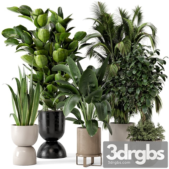 Indoor plants in ferm living bau pot large – set 290 - thumbnail 1