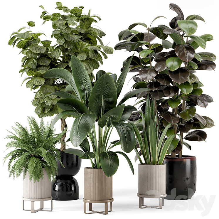 Indoor Plants in Ferm Living Bau Pot Large – Set 299 3DS Max Model - thumbnail 3