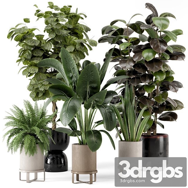 Indoor plants in ferm living bau pot large – set 299 - thumbnail 1