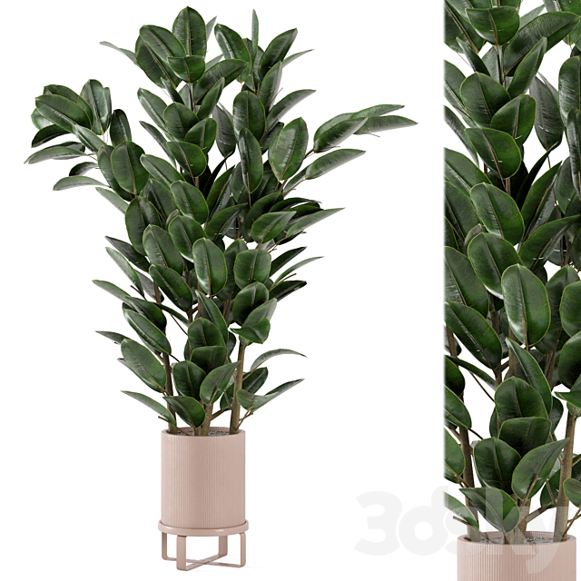 Indoor Plants in Ferm Living Bau Pot Large – Set 346 3ds Max - thumbnail 1