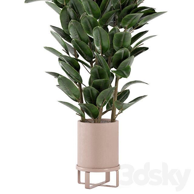 Indoor Plants in Ferm Living Bau Pot Large – Set 346 3ds Max - thumbnail 3