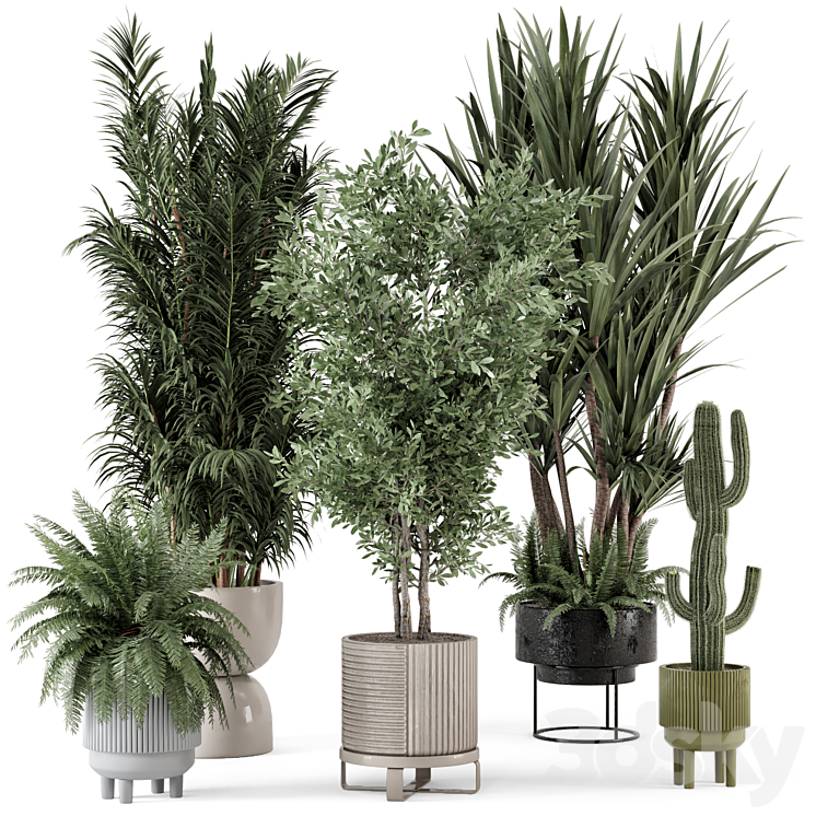 Indoor Plants in Ferm Living Bau Pot Large – Set 362 3DS Max Model - thumbnail 1