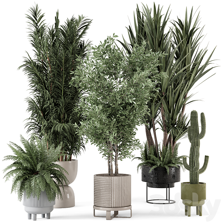 Indoor Plants in Ferm Living Bau Pot Large – Set 362 3DS Max - thumbnail 1