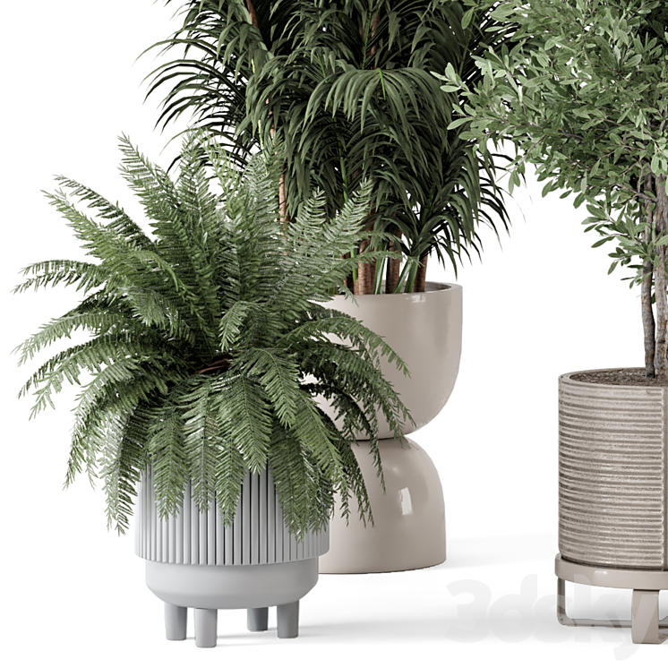 Indoor Plants in Ferm Living Bau Pot Large – Set 362 3DS Max - thumbnail 2