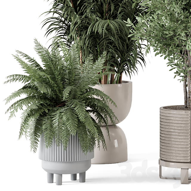 Indoor Plants in Ferm Living Bau Pot Large – Set 362 3DSMax File - thumbnail 2