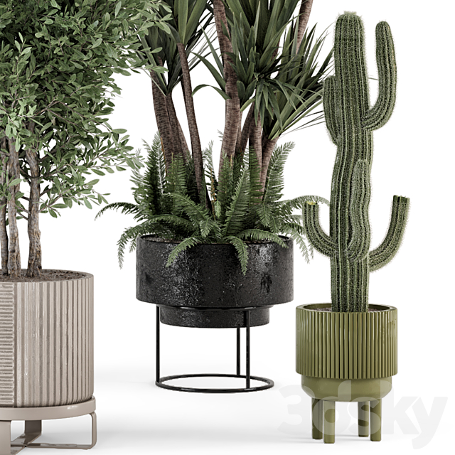 Indoor Plants in Ferm Living Bau Pot Large – Set 362 3DSMax File - thumbnail 3