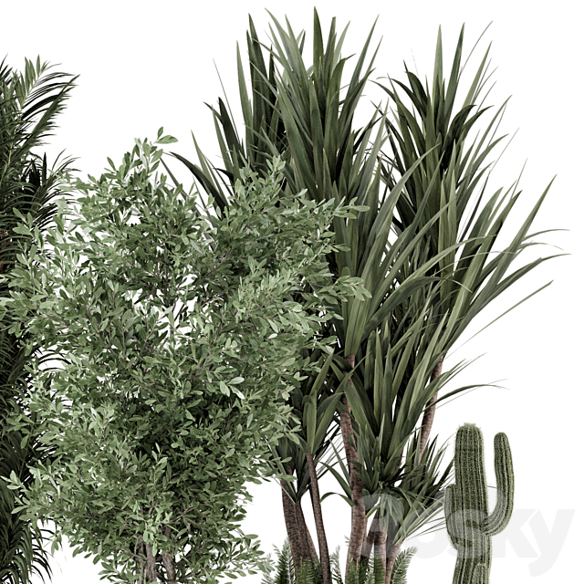 Indoor Plants in Ferm Living Bau Pot Large – Set 362 3DSMax File - thumbnail 4