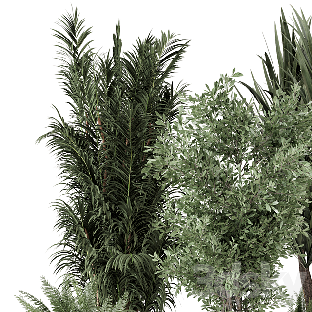 Indoor Plants in Ferm Living Bau Pot Large – Set 362 3DSMax File - thumbnail 5