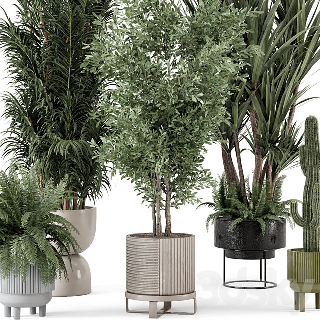 Indoor Plants in Ferm Living Bau Pot Large – Set 362 3DSMax File - thumbnail 6