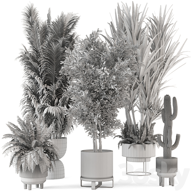 Indoor Plants in Ferm Living Bau Pot Large – Set 362 3DSMax File - thumbnail 7