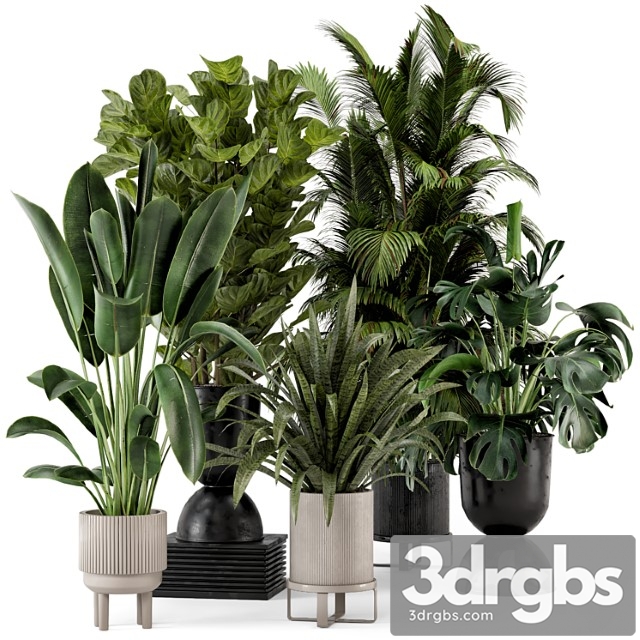 Indoor plants in ferm living bau pot large – set 376 - thumbnail 1