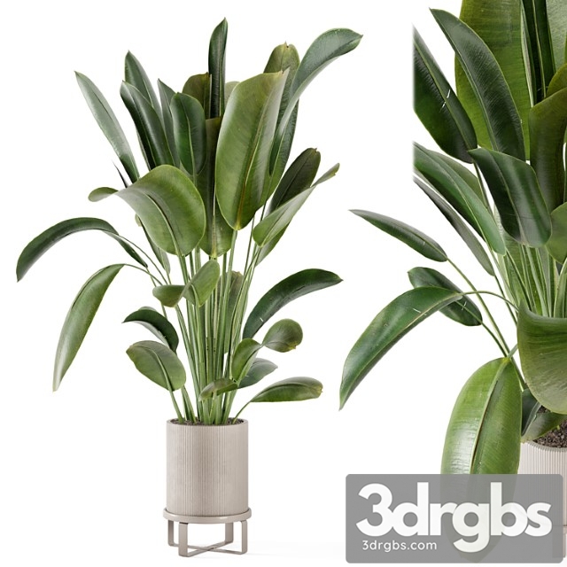 Indoor plants in ferm living bau pot large – set 378 - thumbnail 1