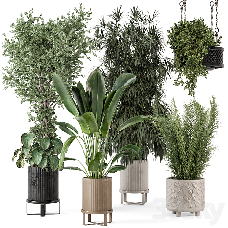 Indoor Plants in Ferm Living Bau Pot Large – Set 474 3DS Max Model - thumbnail 1