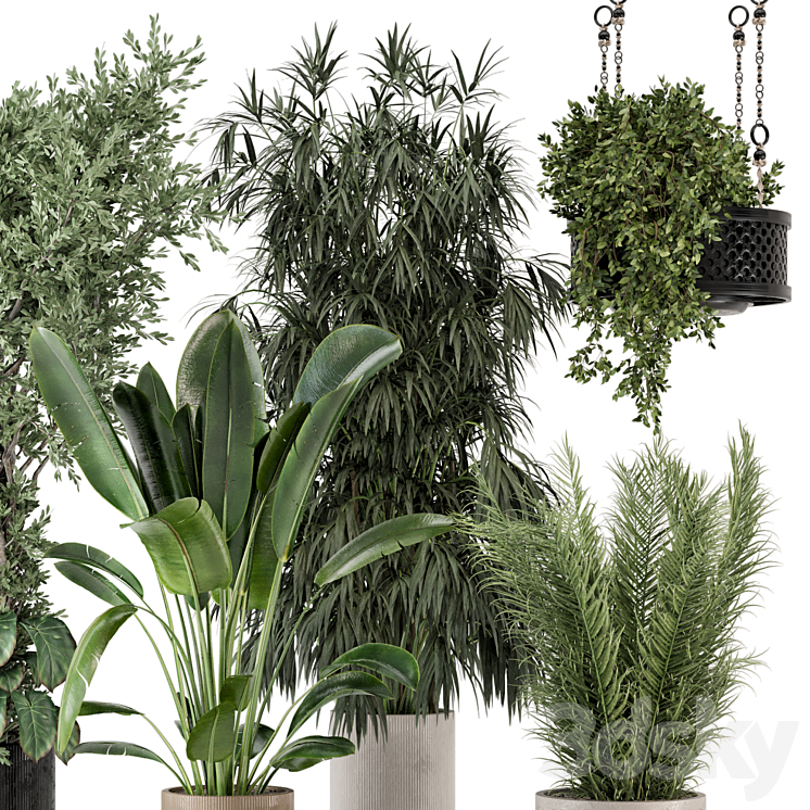 Indoor Plants in Ferm Living Bau Pot Large – Set 474 3DS Max Model - thumbnail 2