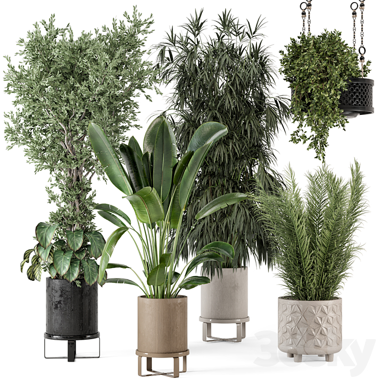 Indoor Plants in Ferm Living Bau Pot Large – Set 474 3DS Max - thumbnail 1