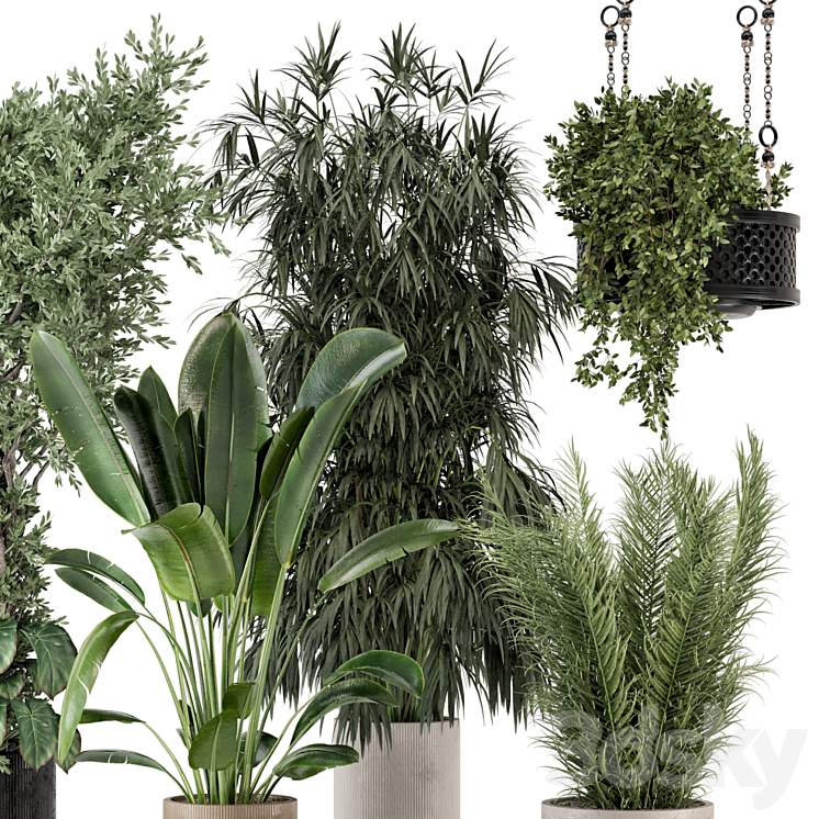 Indoor Plants in Ferm Living Bau Pot Large – Set 474 3DS Max - thumbnail 2