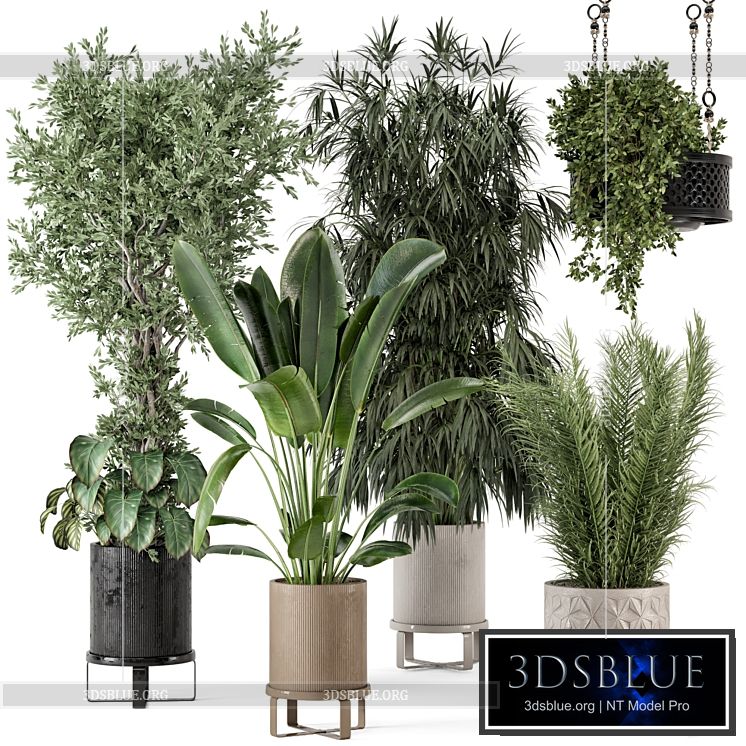 Indoor Plants in Ferm Living Bau Pot Large – Set 474 3DS Max - thumbnail 3