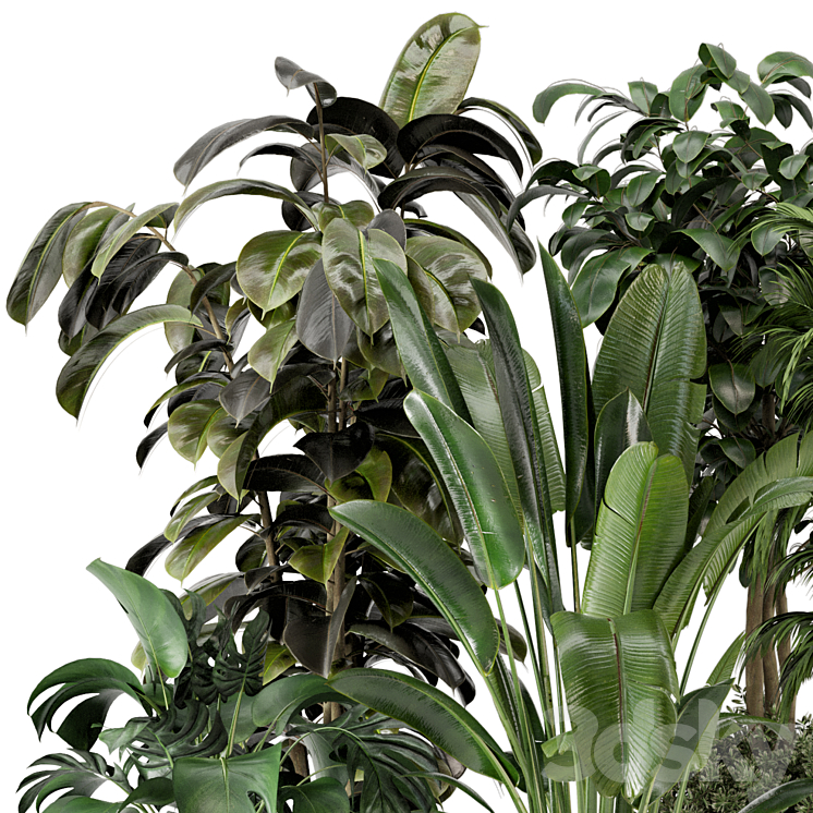 Indoor Plants in Ferm Living Bau Pot Large – Set 548 3DS Max - thumbnail 2