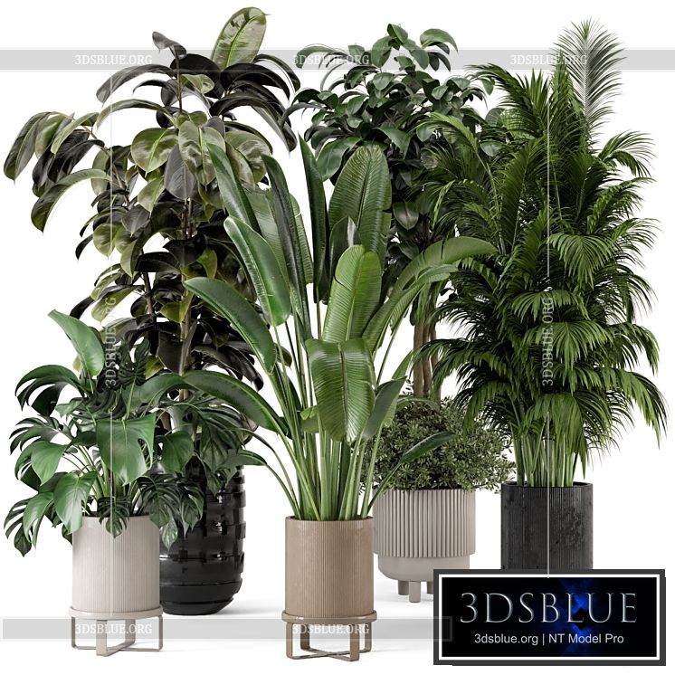 Indoor Plants in Ferm Living Bau Pot Large – Set 548 3DS Max - thumbnail 3