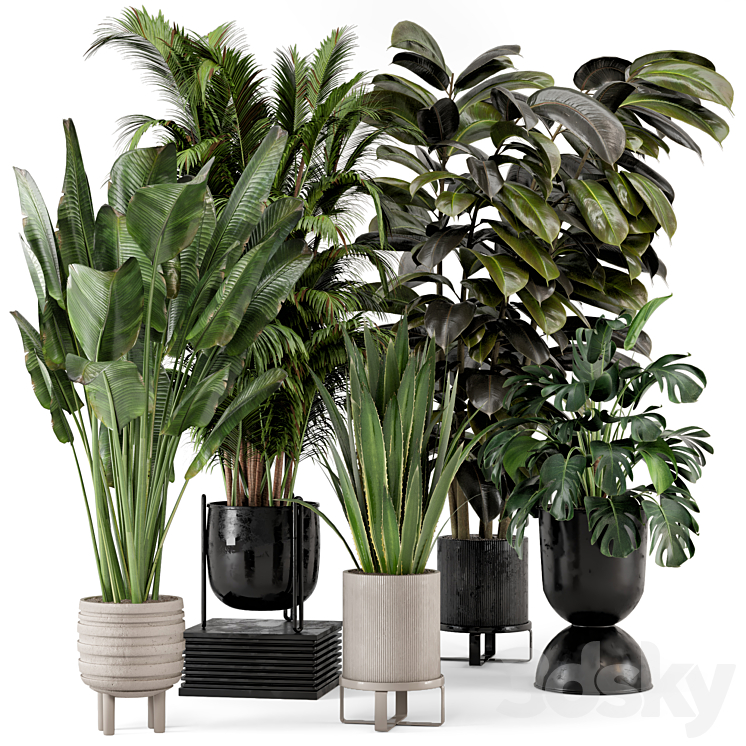 Indoor Plants in Ferm Living Bau Pot Large – Set 572 3DS Max Model - thumbnail 3