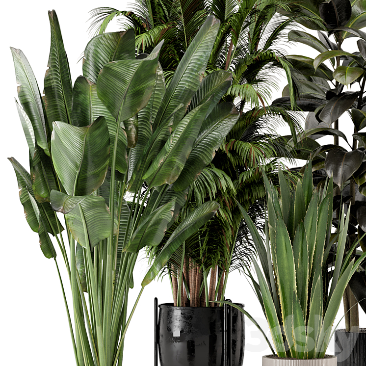 Indoor Plants in Ferm Living Bau Pot Large – Set 572 3DS Max - thumbnail 2